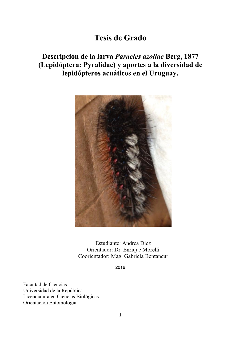 Lepidóptera: Pyralidae) Y Aportes a La Diversidad De Lepidópteros Acuáticos En El Uruguay