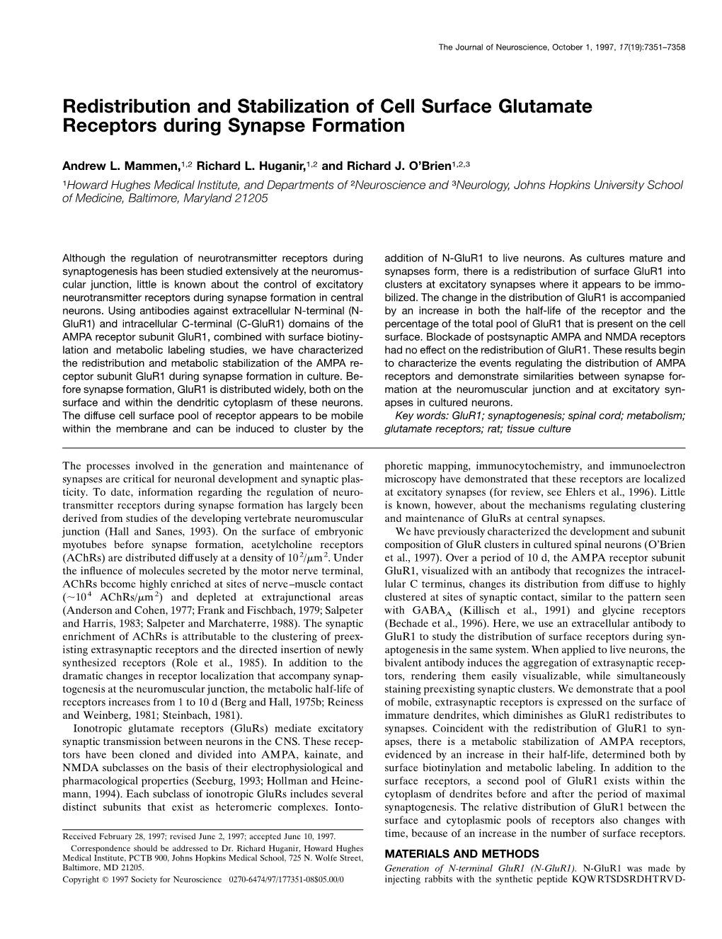 Redistribution and Stabilization of Cell Surface Glutamate Receptors During Synapse Formation