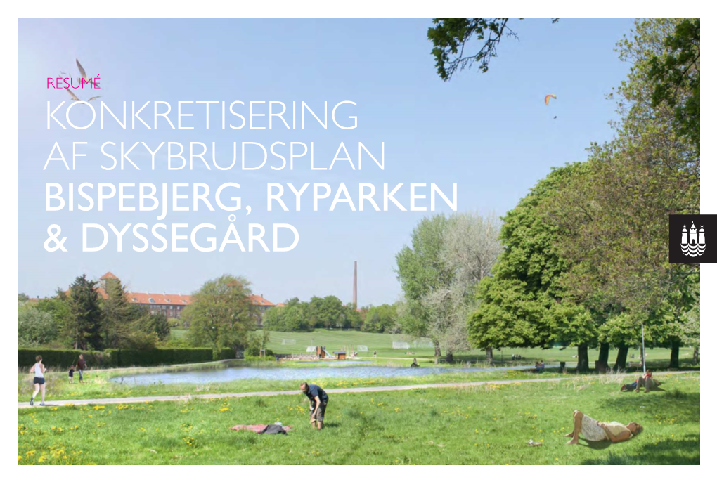 Resumé Konkretisering Af Skybrudsplan Bispebjerg, Ryparken & Dyssegård Skybrudsoplandene
