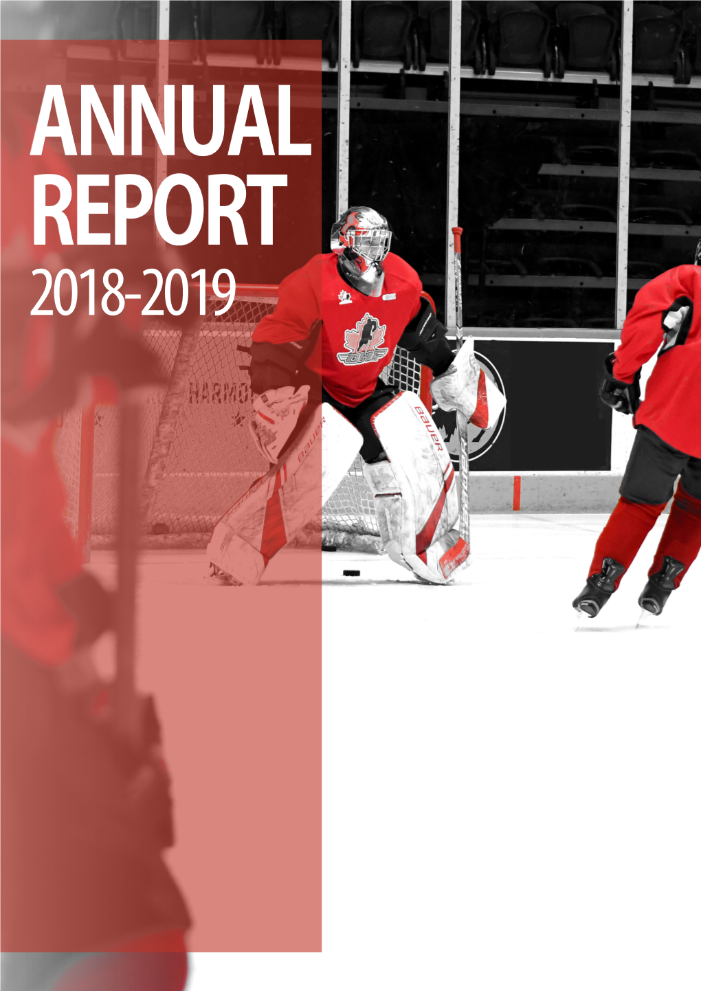 2018-2019 Annual Report