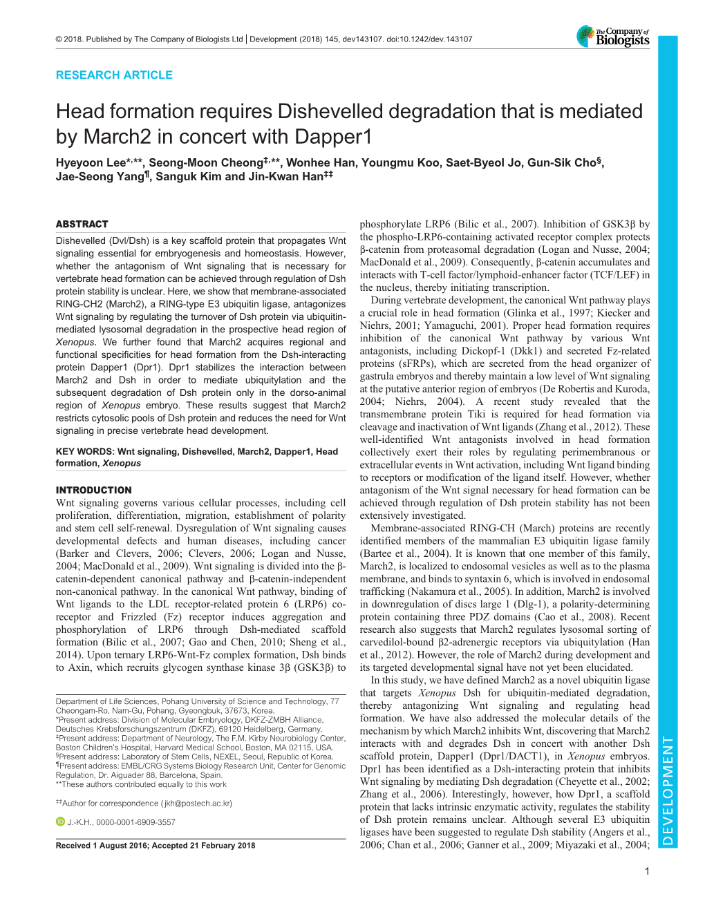 Head Formation Requires Dishevelled Degradation That Is Mediated By