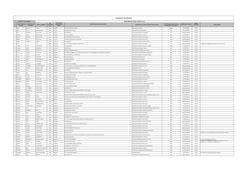 Resumen Cv De Docentes