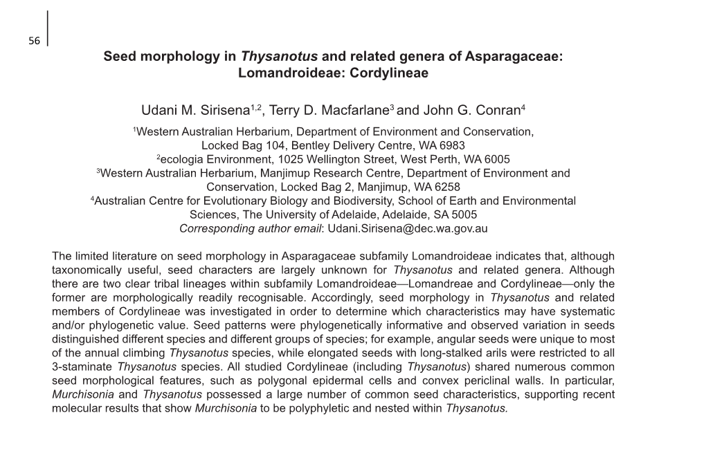 Seed Morphology in Thysanotus and Related Genera of Asparagaceae: Lomandroideae: Cordylineae