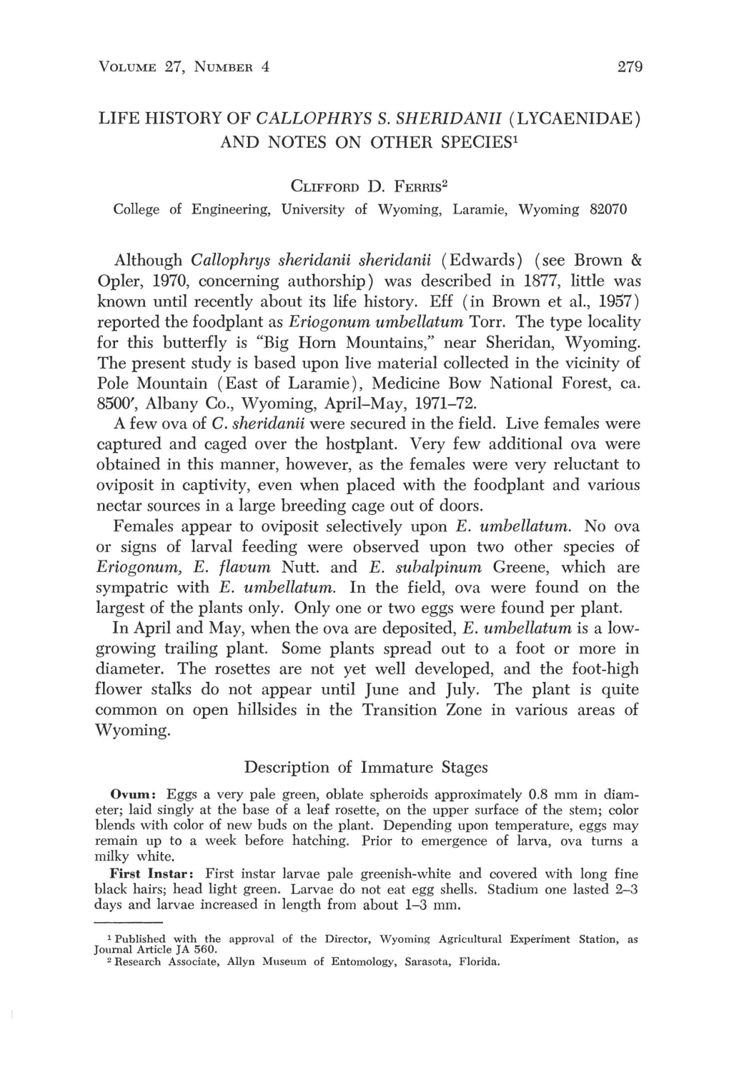 LIFE HISTORY of CALLOPHRYS S. SHERIDANII (LYCAENIDAE) and NOTES on OTHER Speciesl