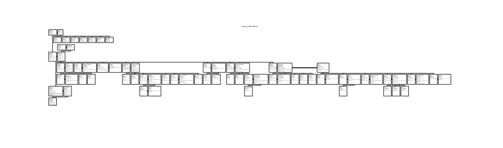 Barnes Family Tree •