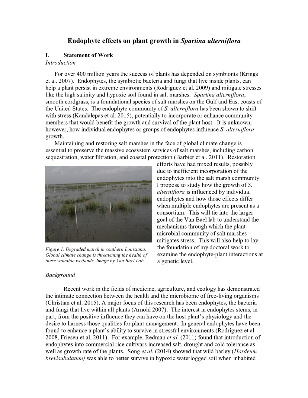 Endophyte Effects on Plant Growth in Spartina Alterniflora