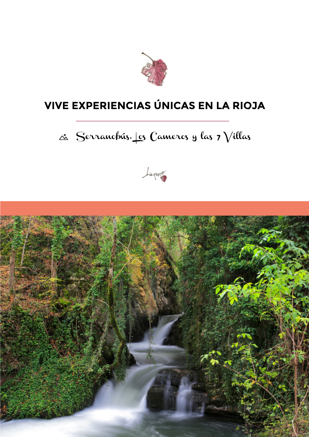 Vive Experiencias Únicas En La Rioja