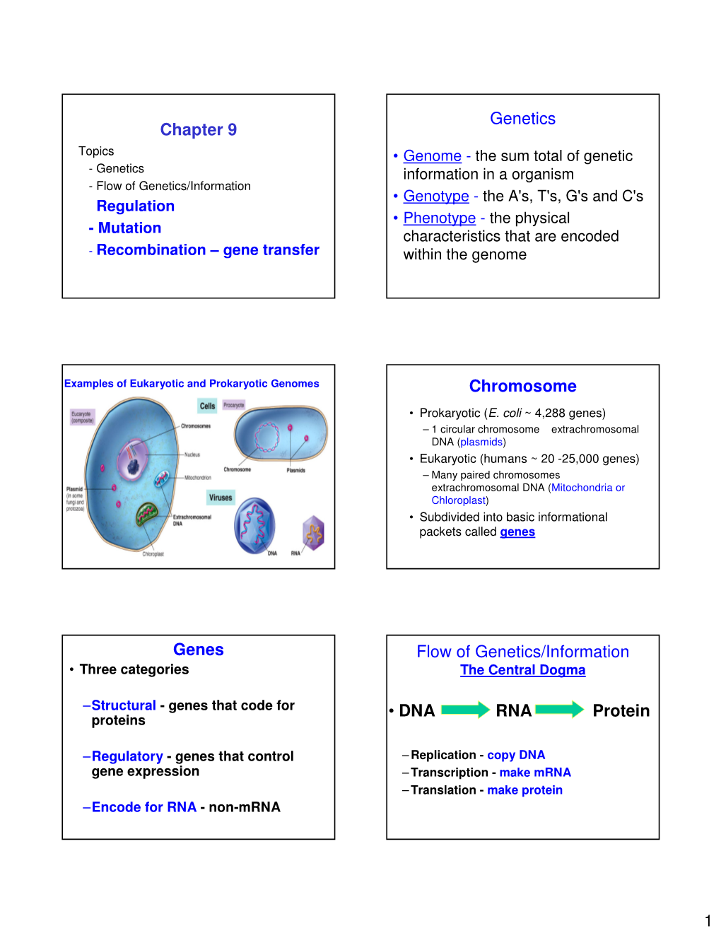 Chapter 9 Genetics Chromosome Genes • DNA RNA Protein Flow Of