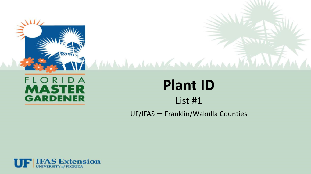 Plant ID List #1 UF/IFAS – Franklin/Wakulla Counties Century Plant Agavaceae Agave Americana