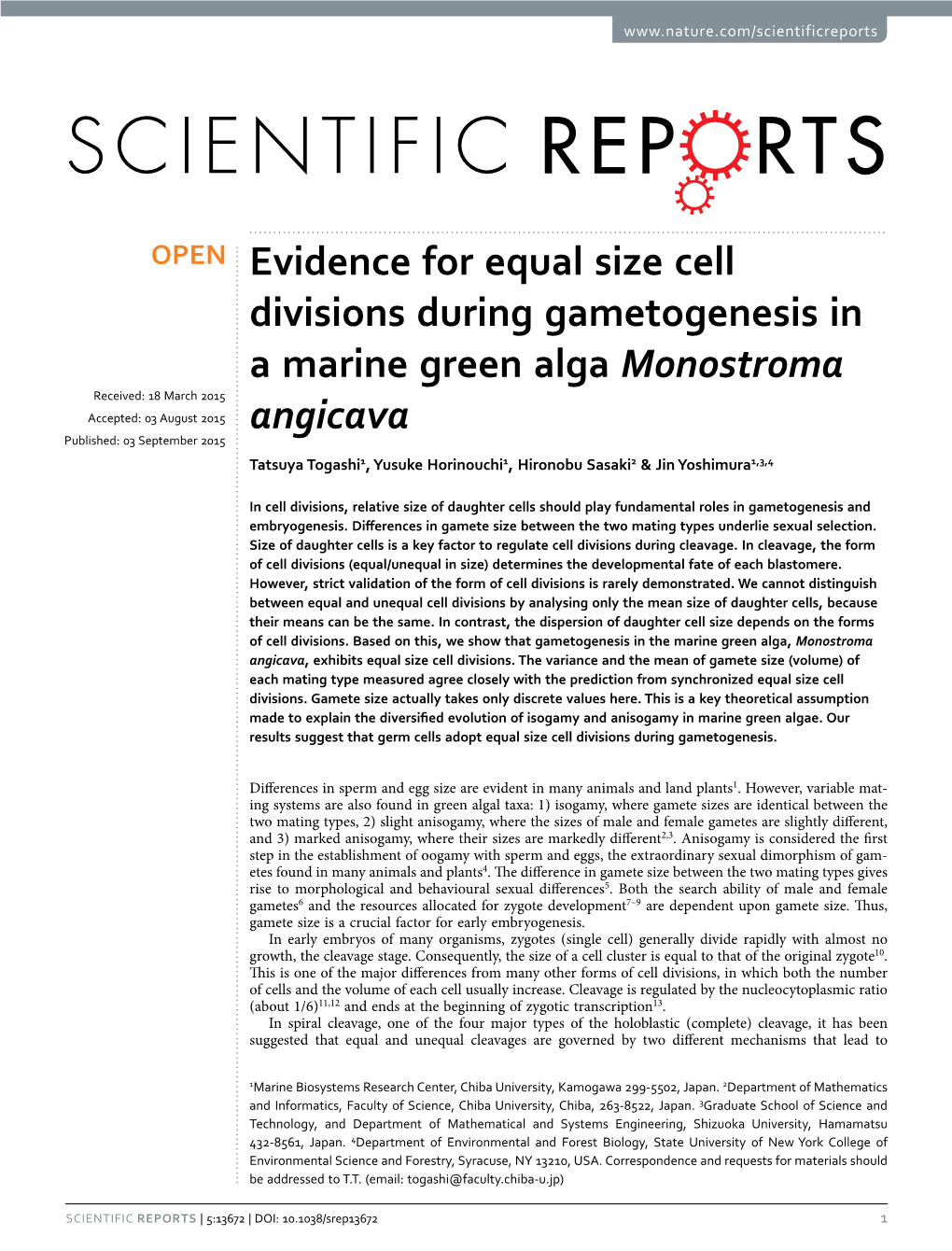 Evidence for Equal Size Cell Divisions During Gametogenesis in a Marine Green Alga Monostroma Angicava