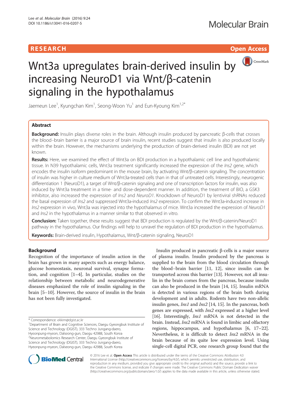 Wnt3a Upregulates Brain-Derived Insulin by Increasing Neurod1 Via