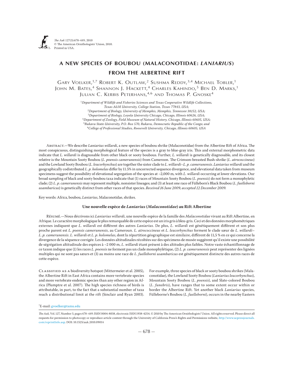 A New Species of Boubou (Malaconotidae: Laniarius) from the Albertine Rift