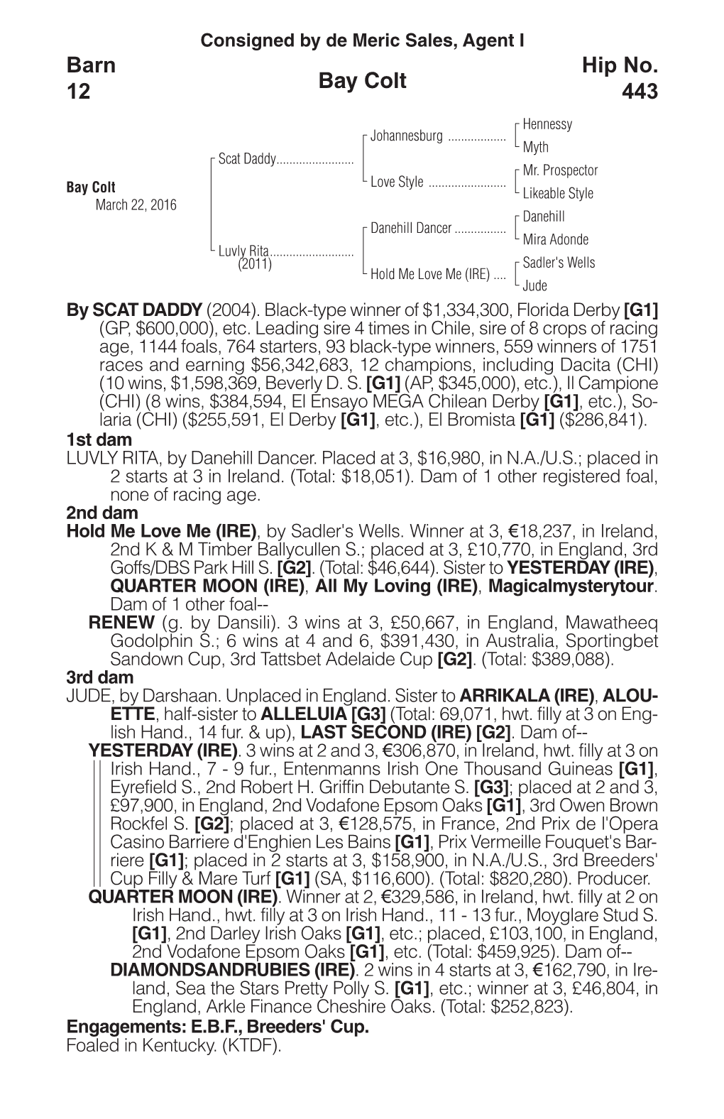 Bay Colt Barn 12 Hip No