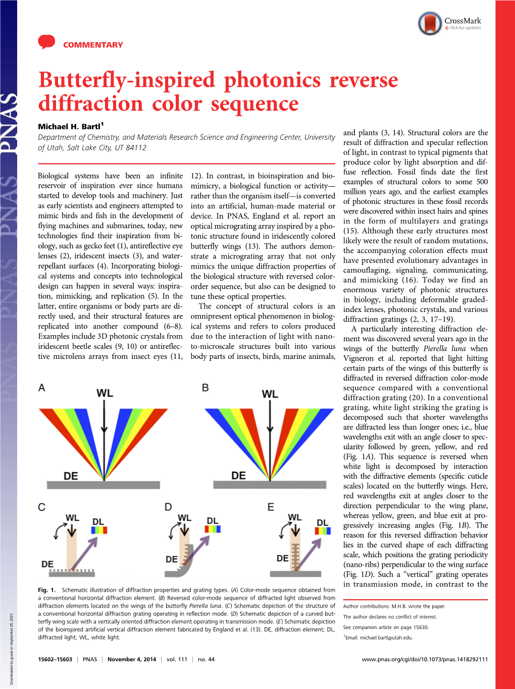 Butterfly-Inspired Photonics Reverse Diffraction Color Sequence