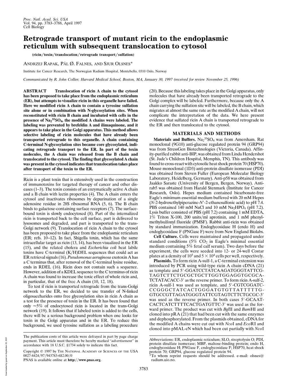 Retrograde Transport of Mutant Ricin to the Endoplasmic Reticulum with Subsequent Translocation to Cytosol (Ricin͞toxin͞translocation͞retrograde Transport͞sulfation)