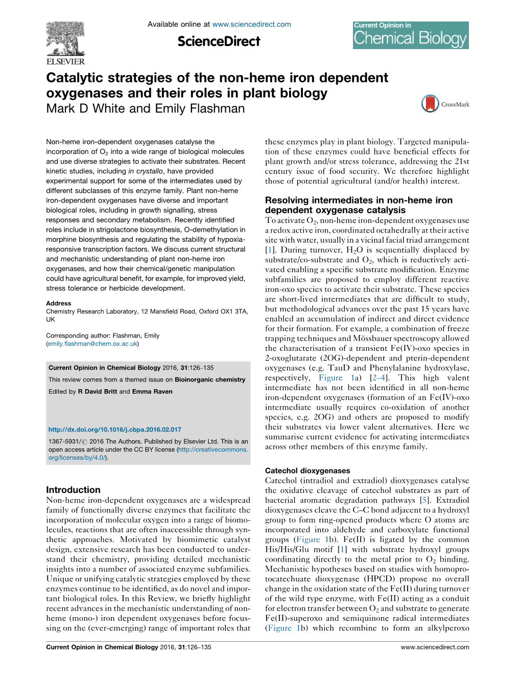 Catalytic Strategies of the Non-Heme Iron Dependent Oxygenases And