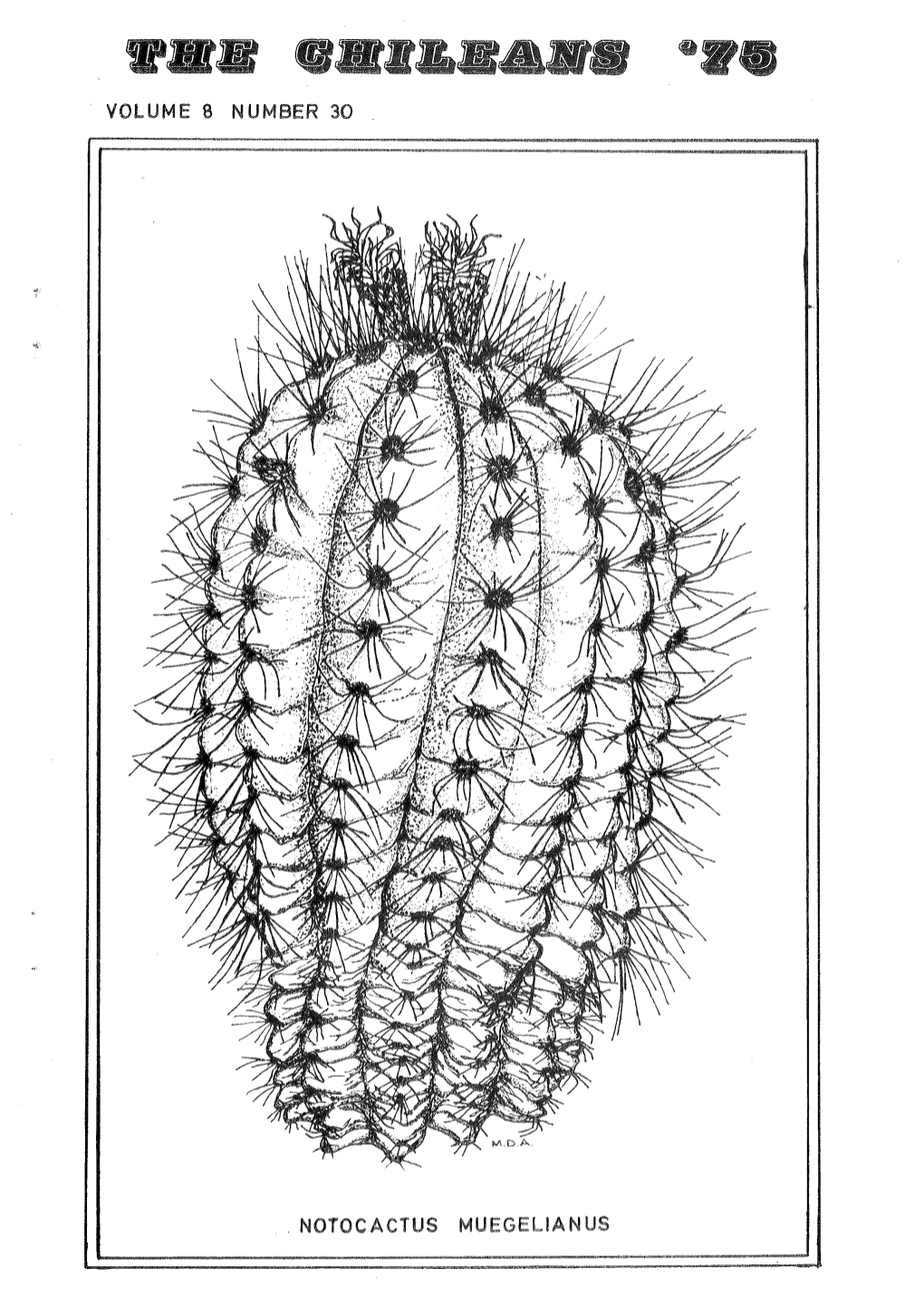 VOLUME 8 NUMBER 30 NOTOCACTUS MUEGELIANUS N.N