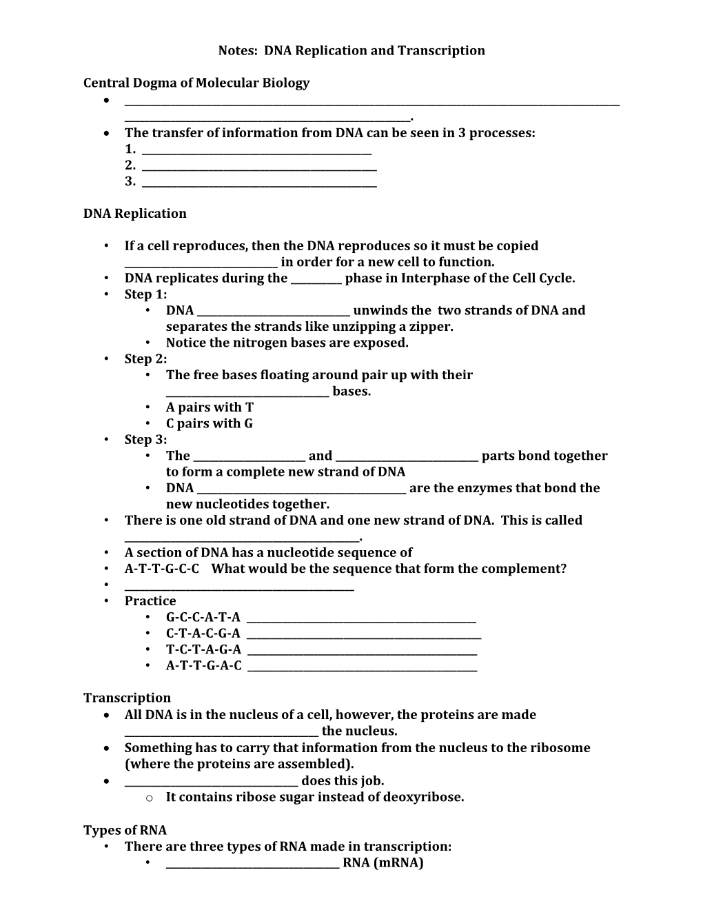 Notes: DNA Replication and Transcription