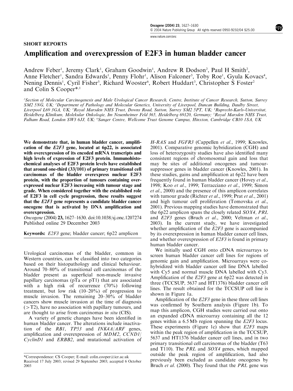 Amplification and Overexpression of E2F3 in Human Bladder Cancer