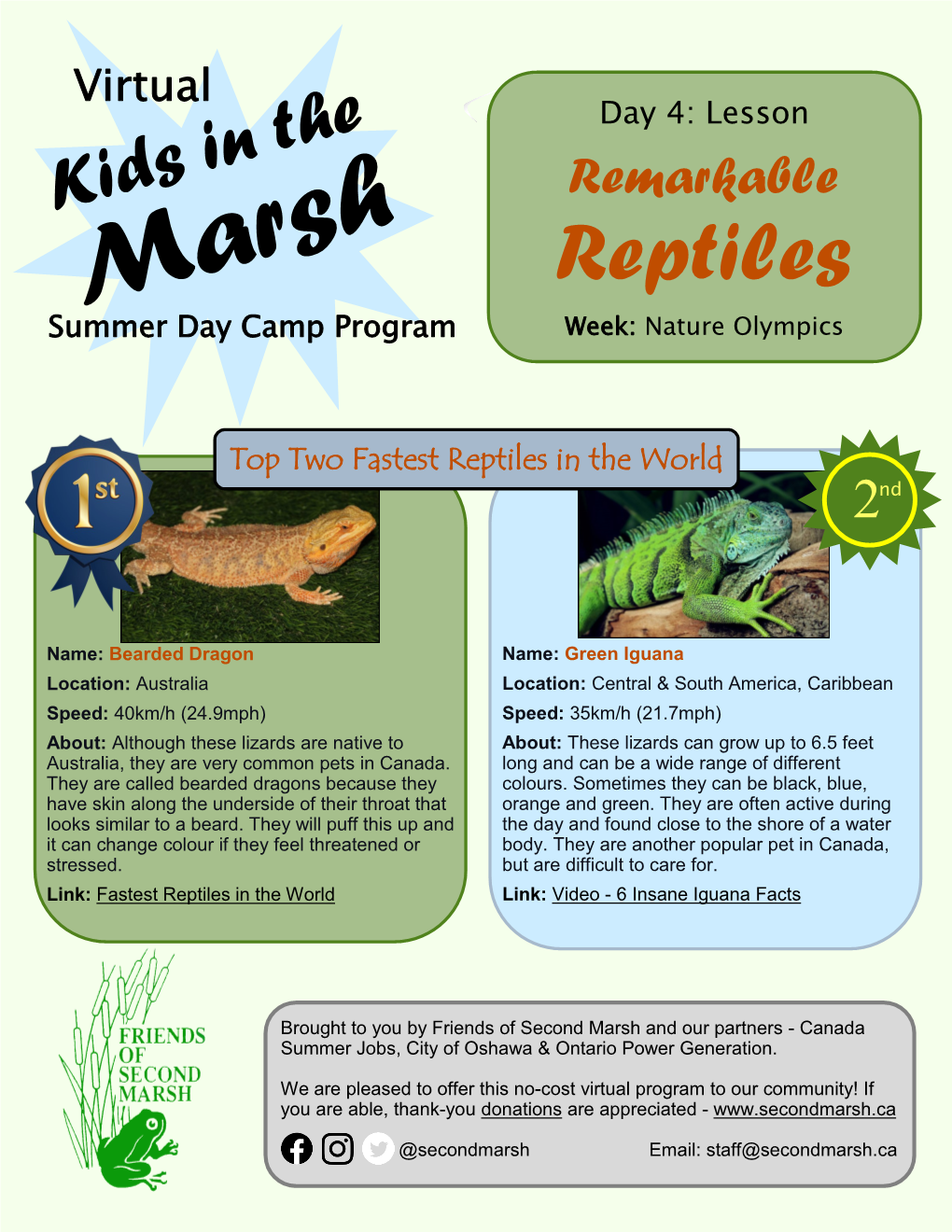 Reptiles Summer Day Camp Program Week: Nature Olympics