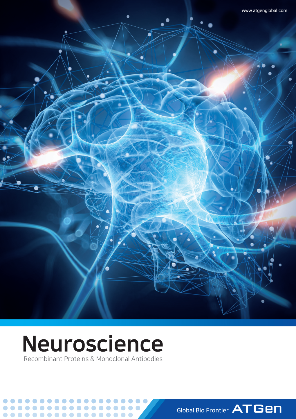 Neuroscience Recombinant Proteins & Monoclonal Antibodies