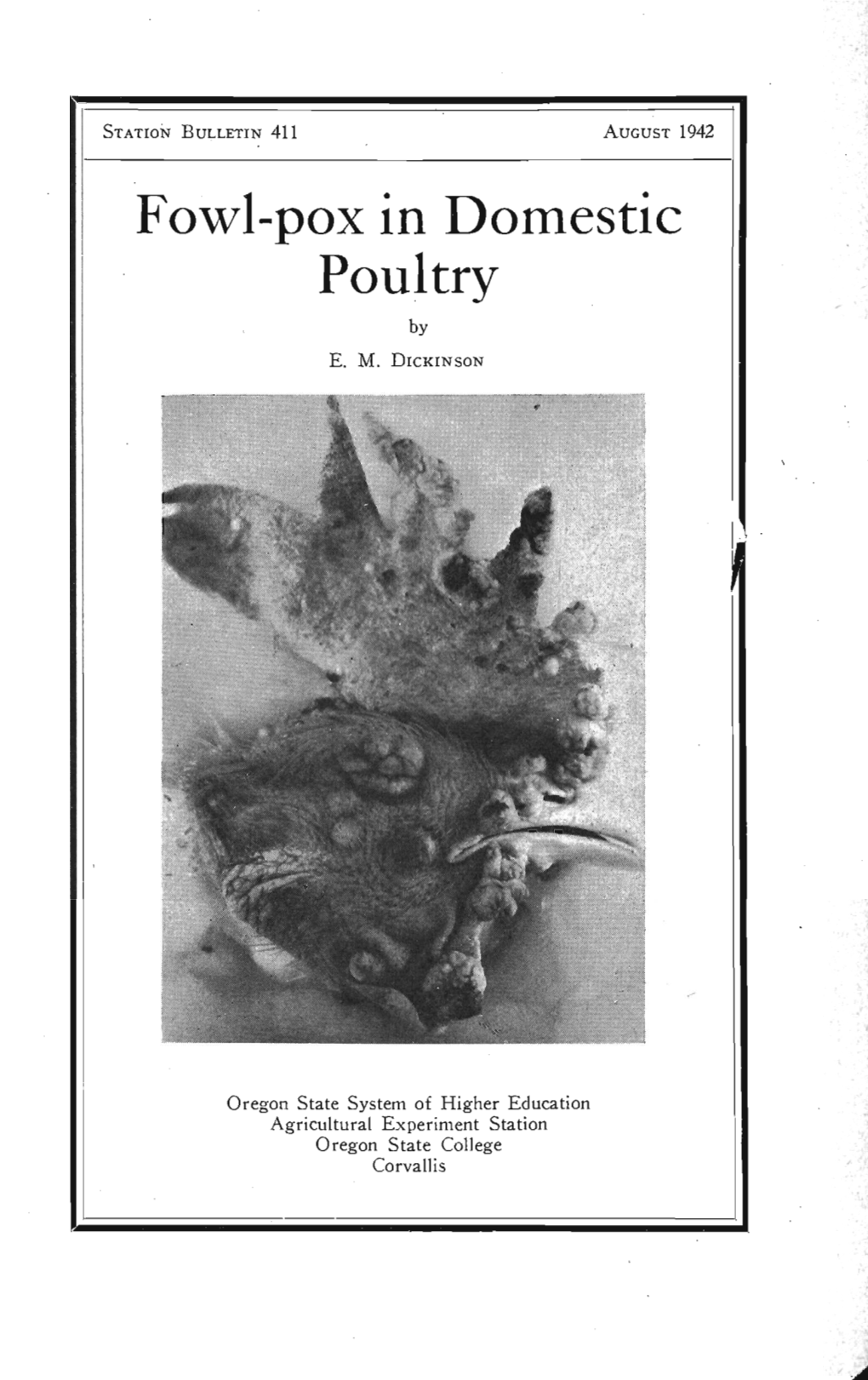 Fowl-Pox in Domestic Poultry by E