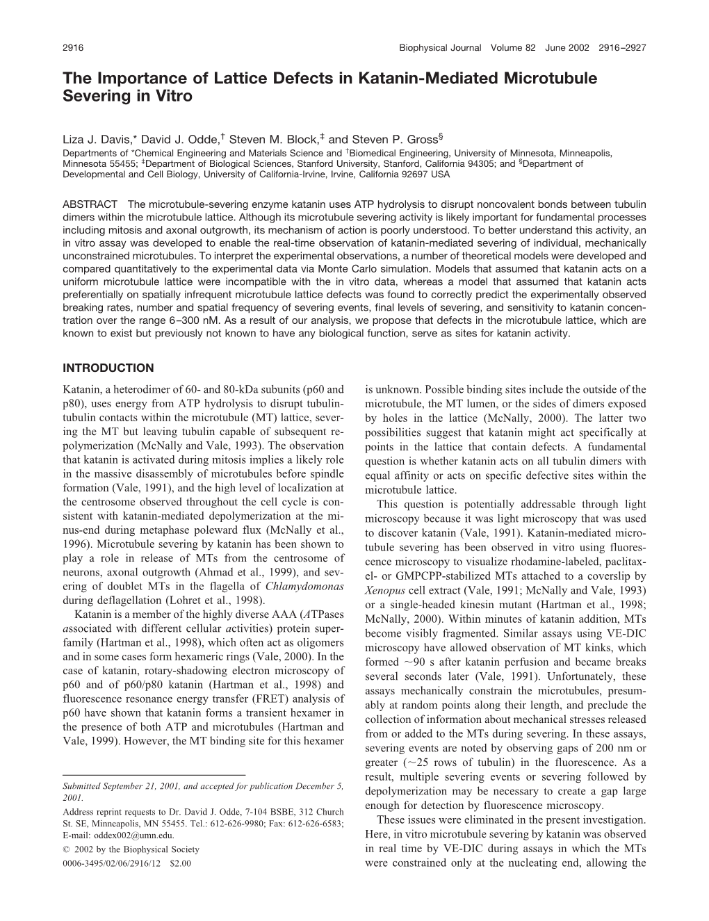 The Importance of Lattice Defects in Katanin-Mediated Microtubule Severing in Vitro