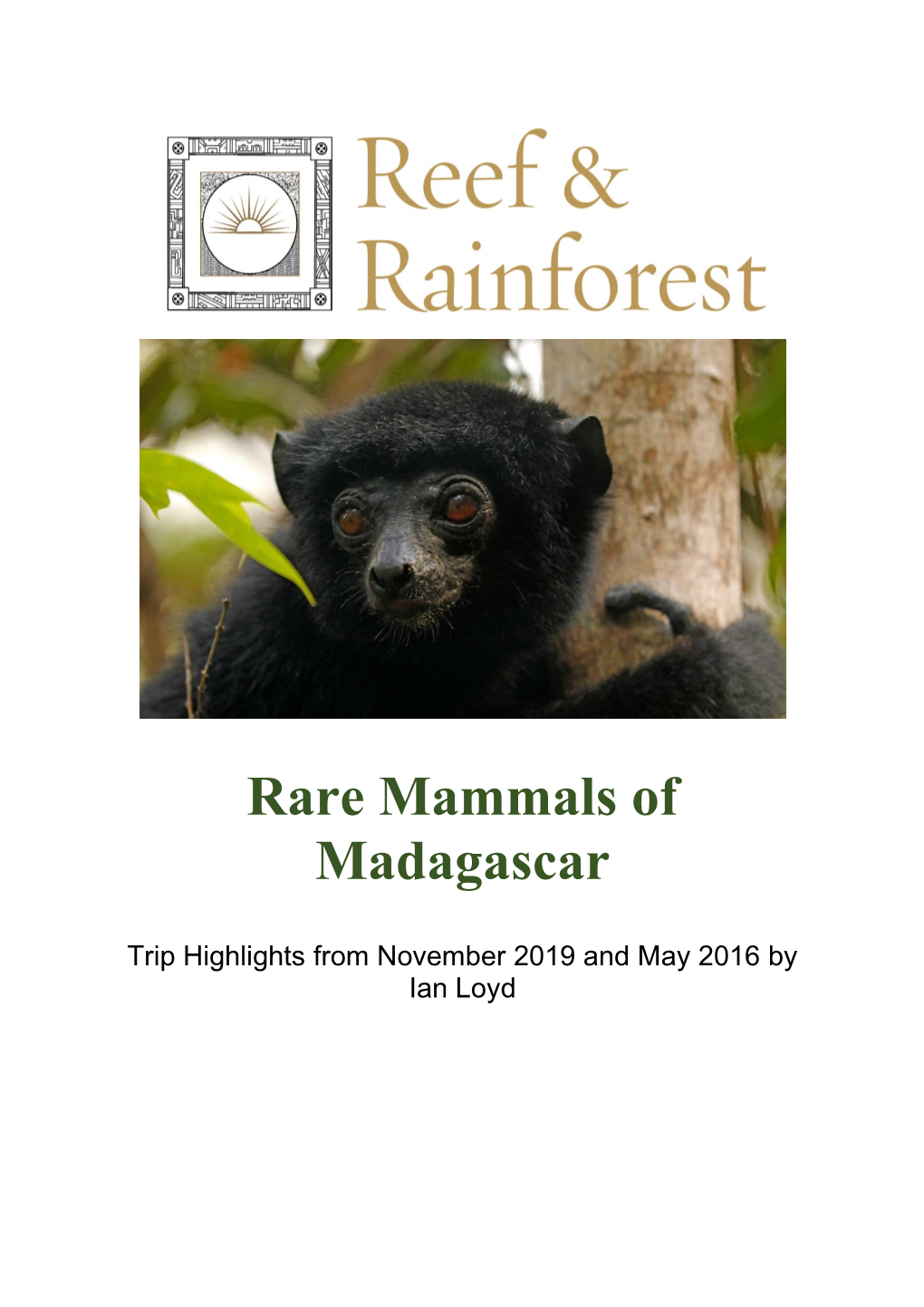 Rare Mammals of Madagascar