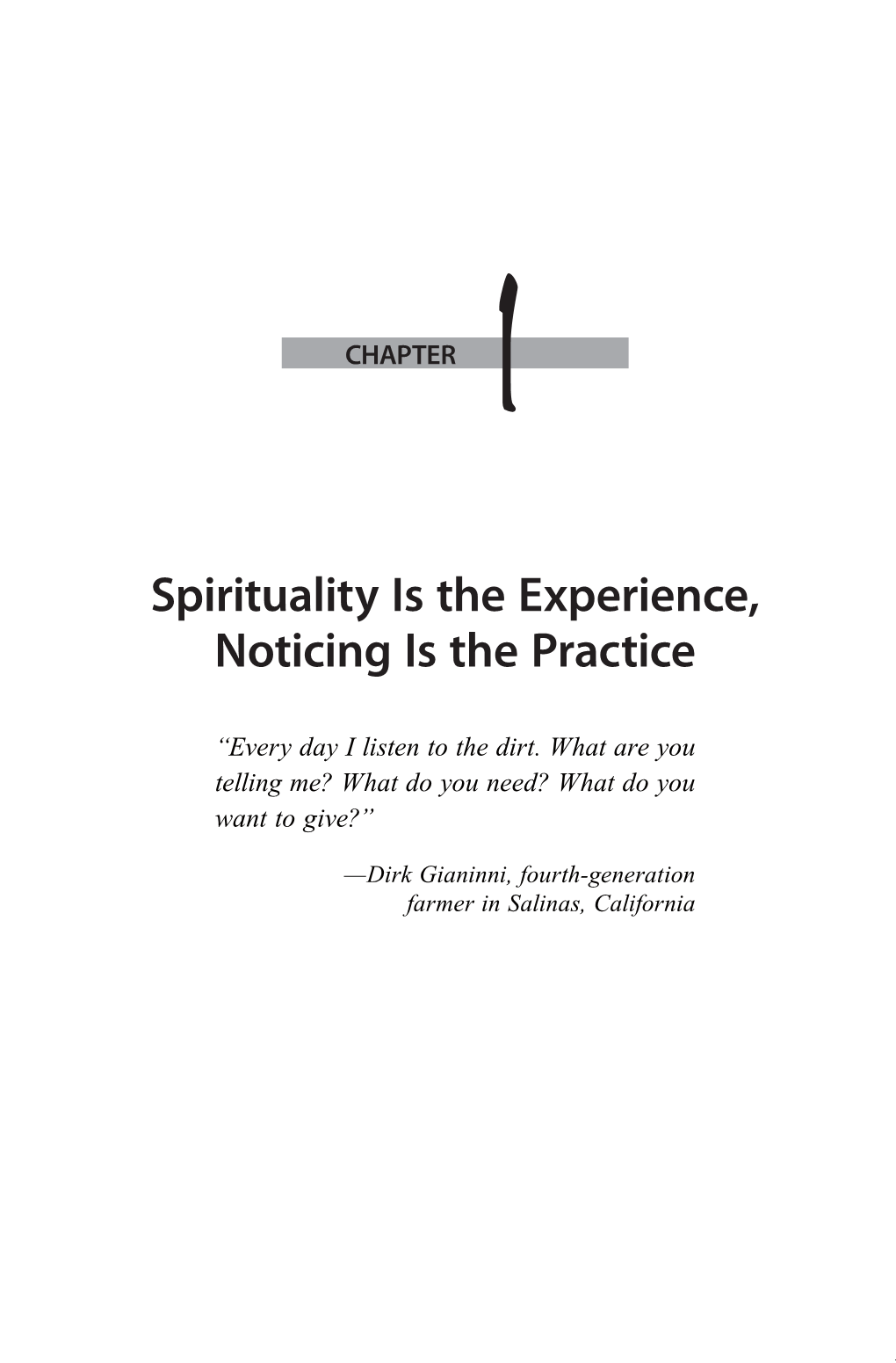 Spirituality Is the Experience, Noticing Is the Practice