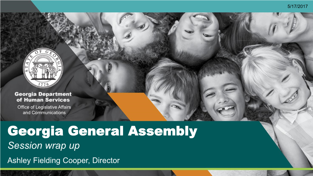 Georgia General Assembly Session Wrap up Ashley Fielding Cooper, Director Vision, Mission and Core Values