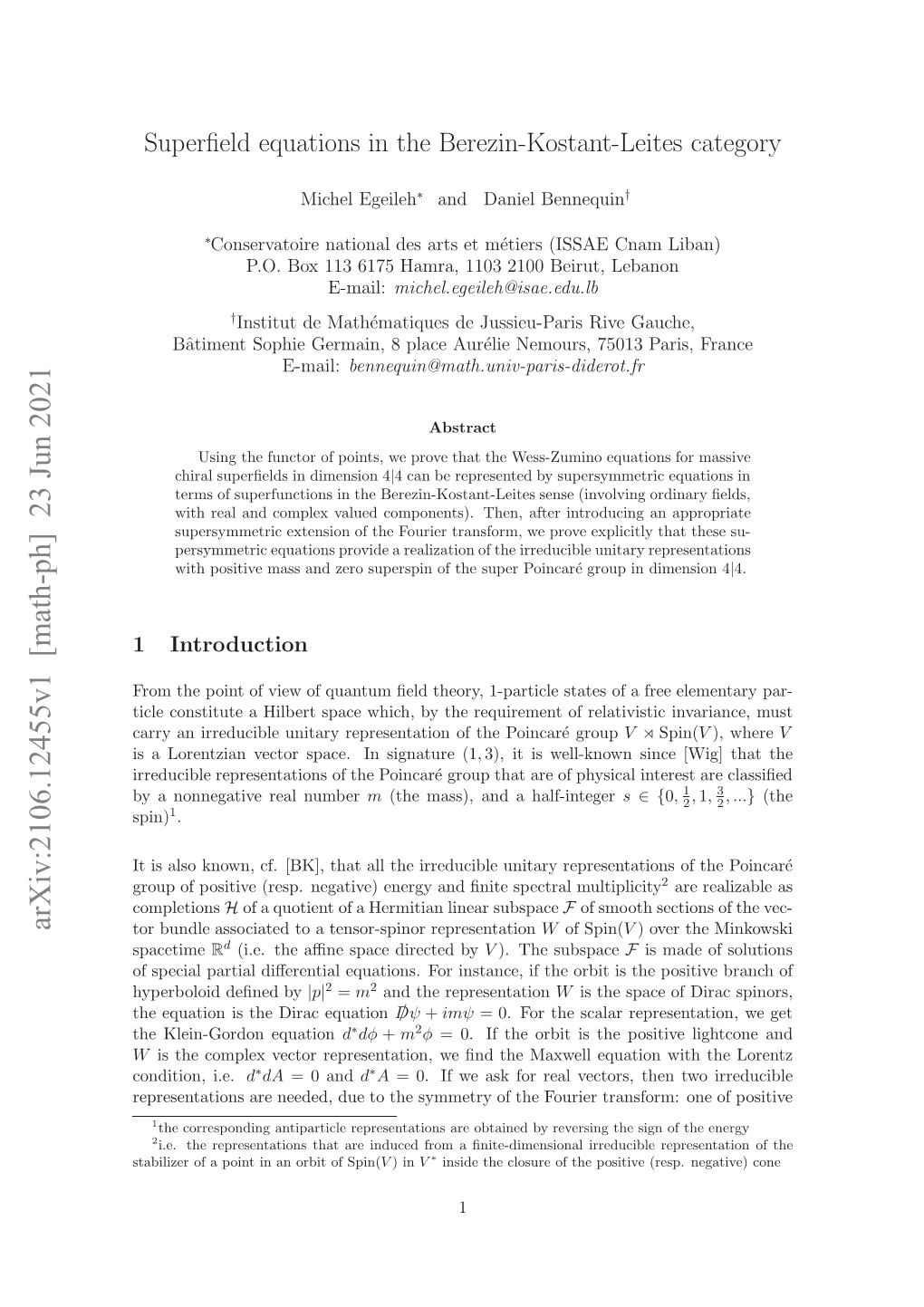 Superfield Equations in the Berezin-Kostant-Leites Category