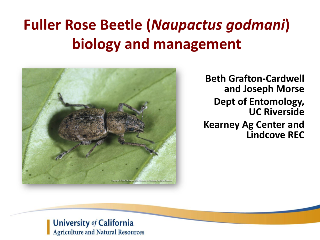 Fuller Rose Beetle (Naupactus Godmani) Biology and Management