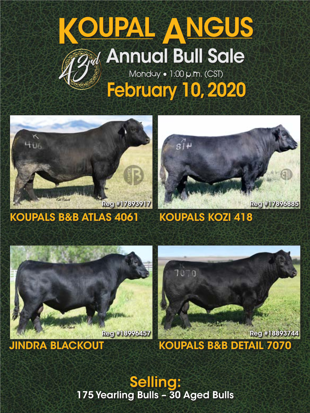 Koupal-Angus-Catalog-2020.Pdf