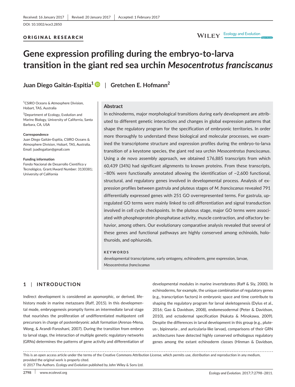 Larva Transition in the Giant Red Sea Urchin Mesocentrotus Franciscanus