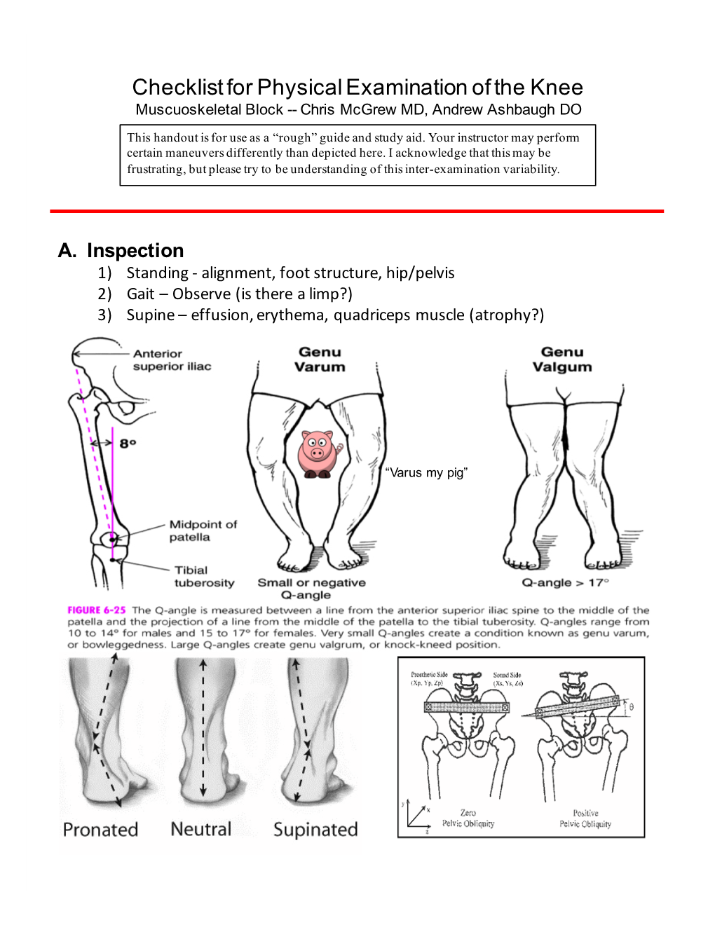 Knee Examination