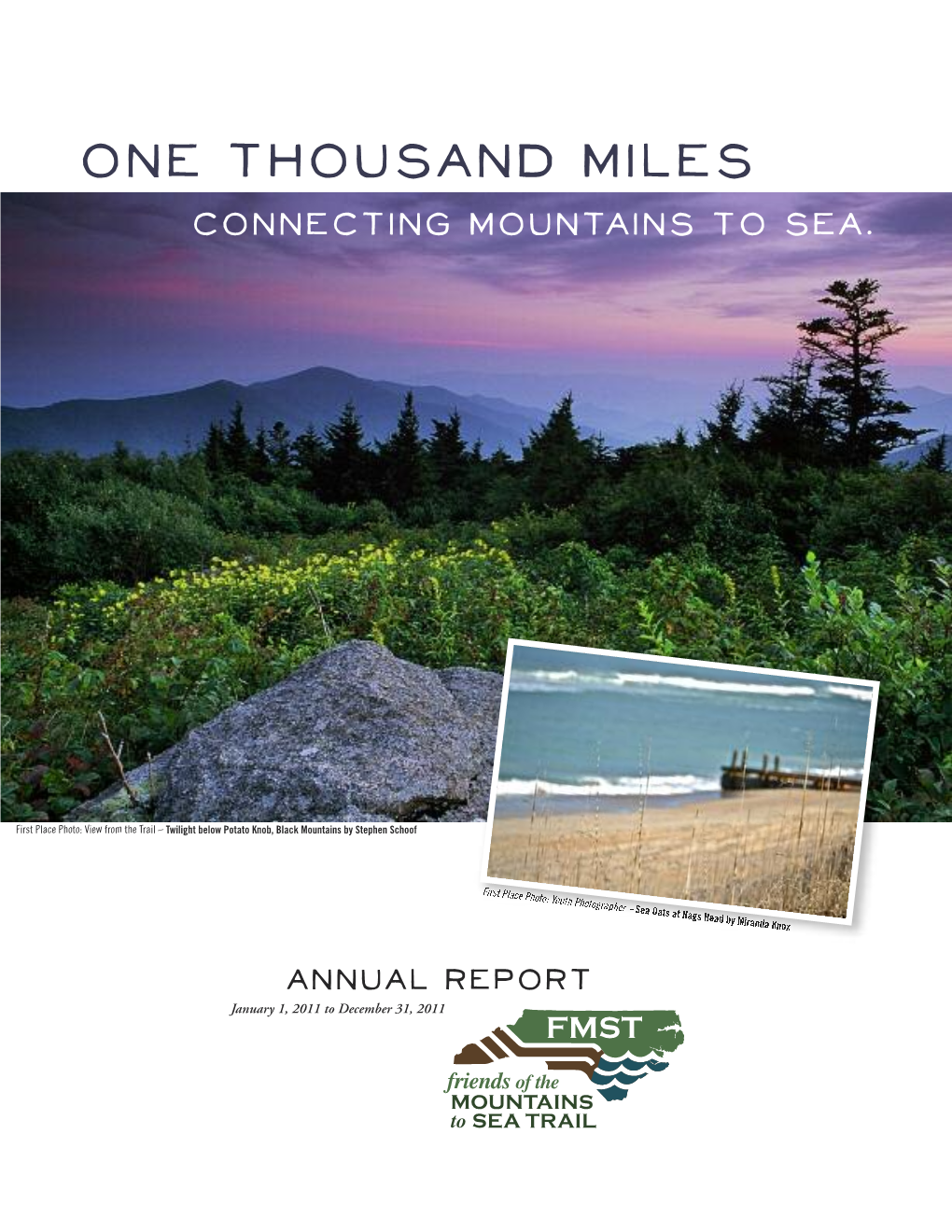 2011 Annual Report