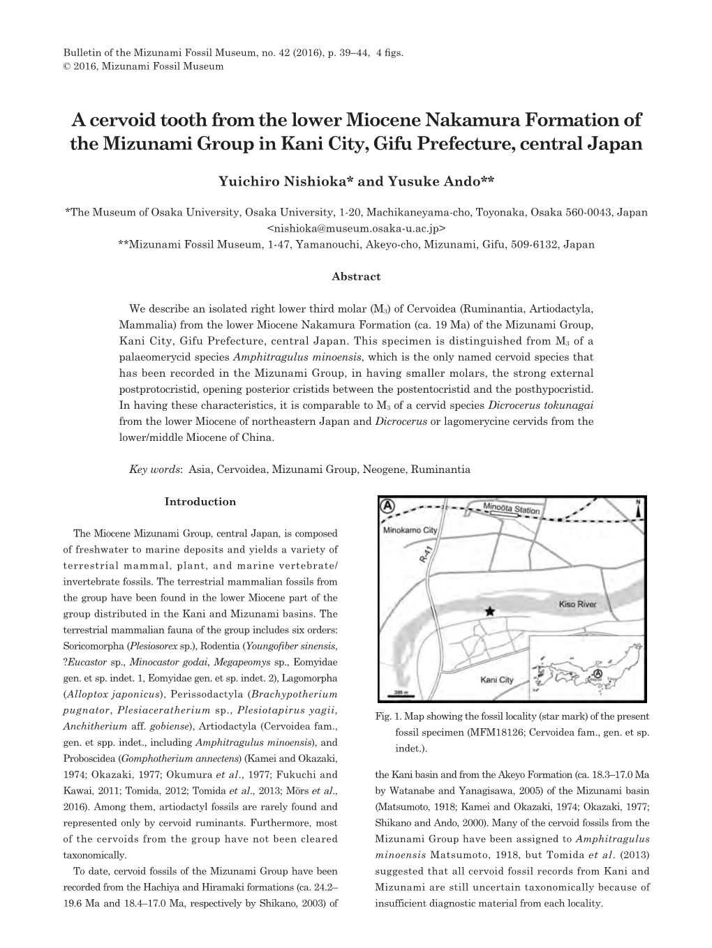 A Cervoid Tooth from the Lower Miocene Nakamura Formation of the Mizunami Group in Kani City, Gifu Prefecture, Central Japan