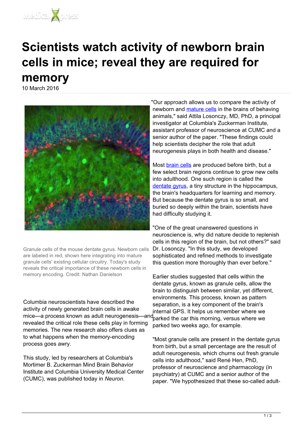 Scientists Watch Activity of Newborn Brain Cells in Mice; Reveal They Are Required for Memory 10 March 2016