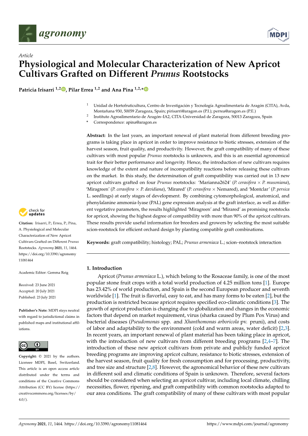 Physiological and Molecular Characterization of New Apricot Cultivars Grafted on Different Prunus Rootstocks