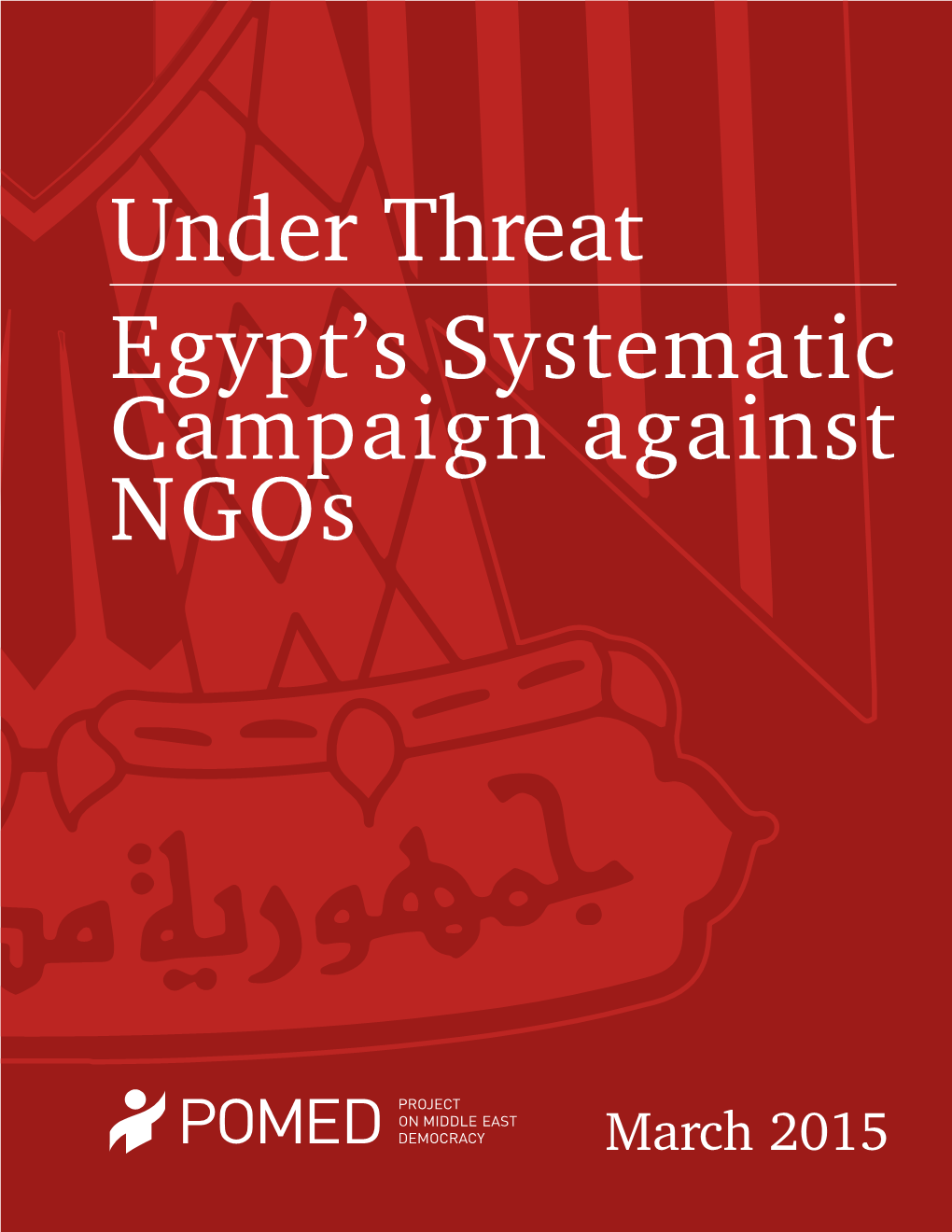 Egypt's Systematic Campaign Against Ngos Under Threat