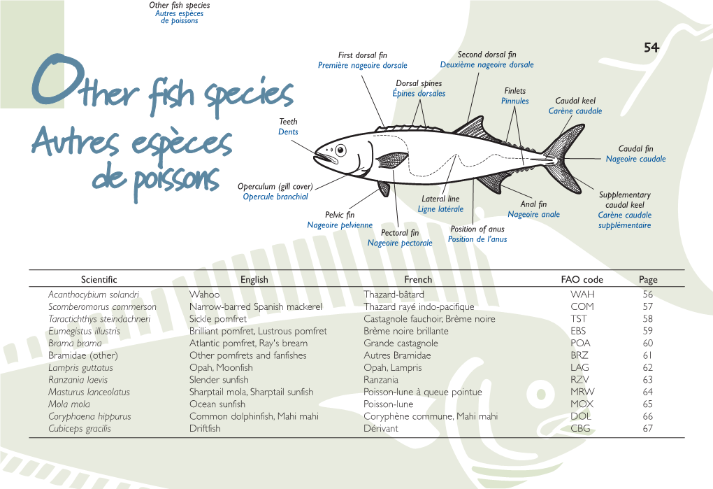 Marine Species Identification Manual for Horizontal Longline