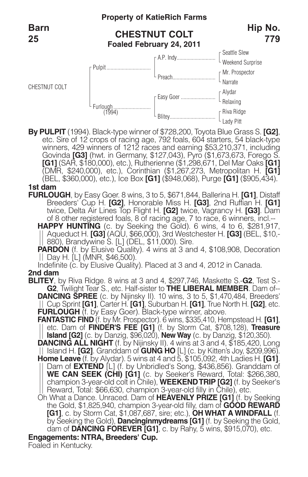 CHESTNUT COLT Barn 25 Hip No