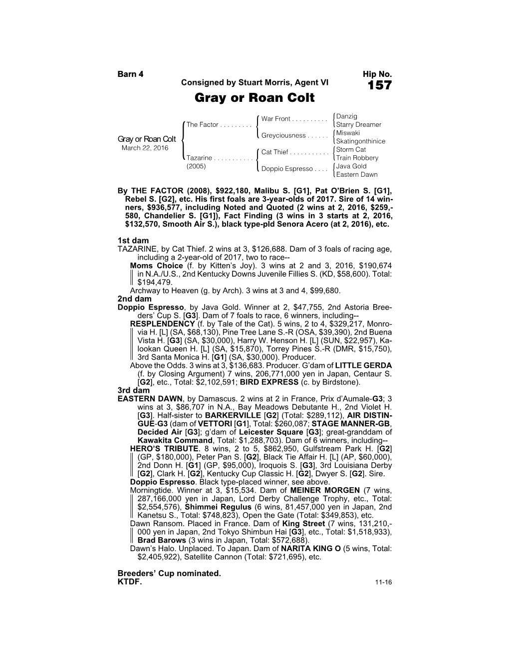 157 Gray Or Roan Colt