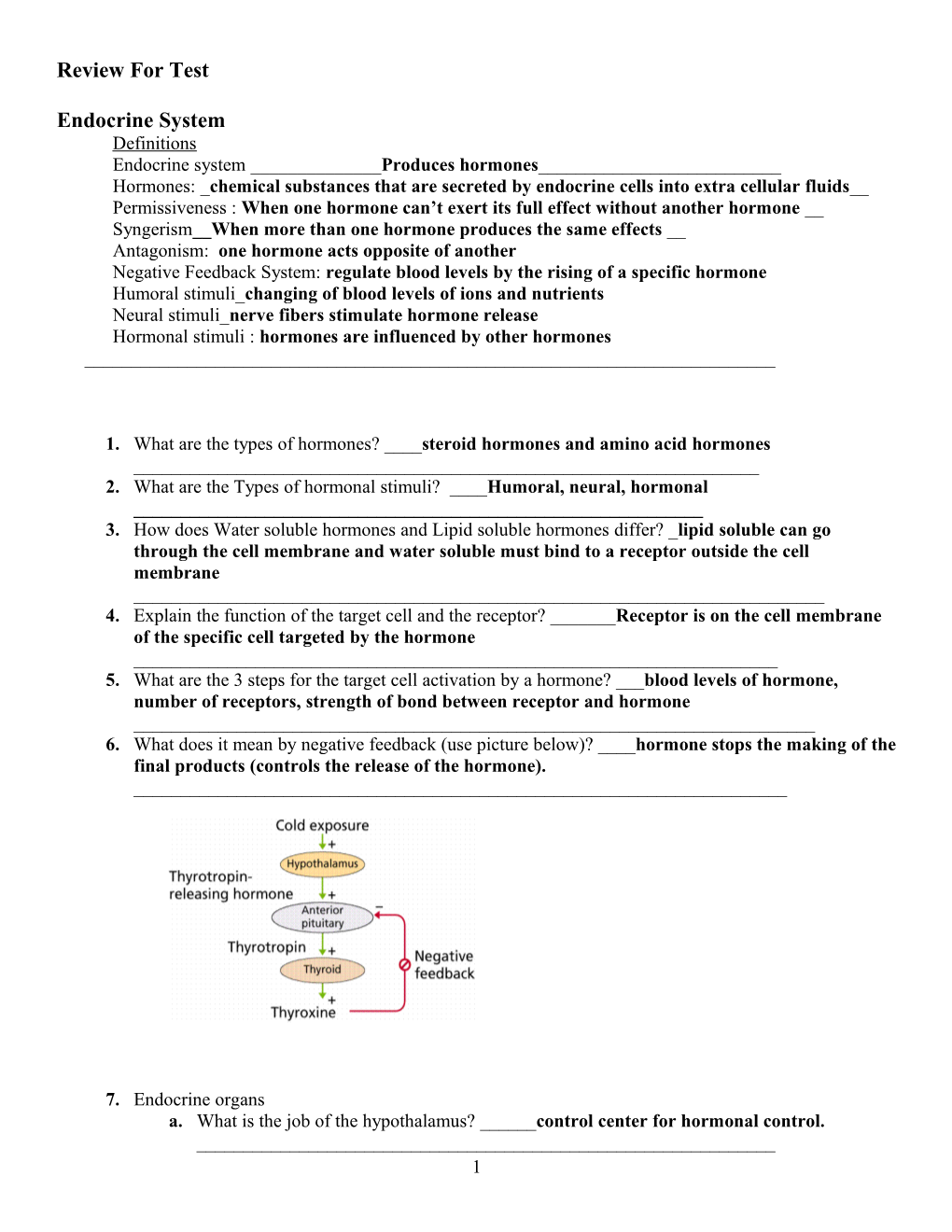 Endocrine System