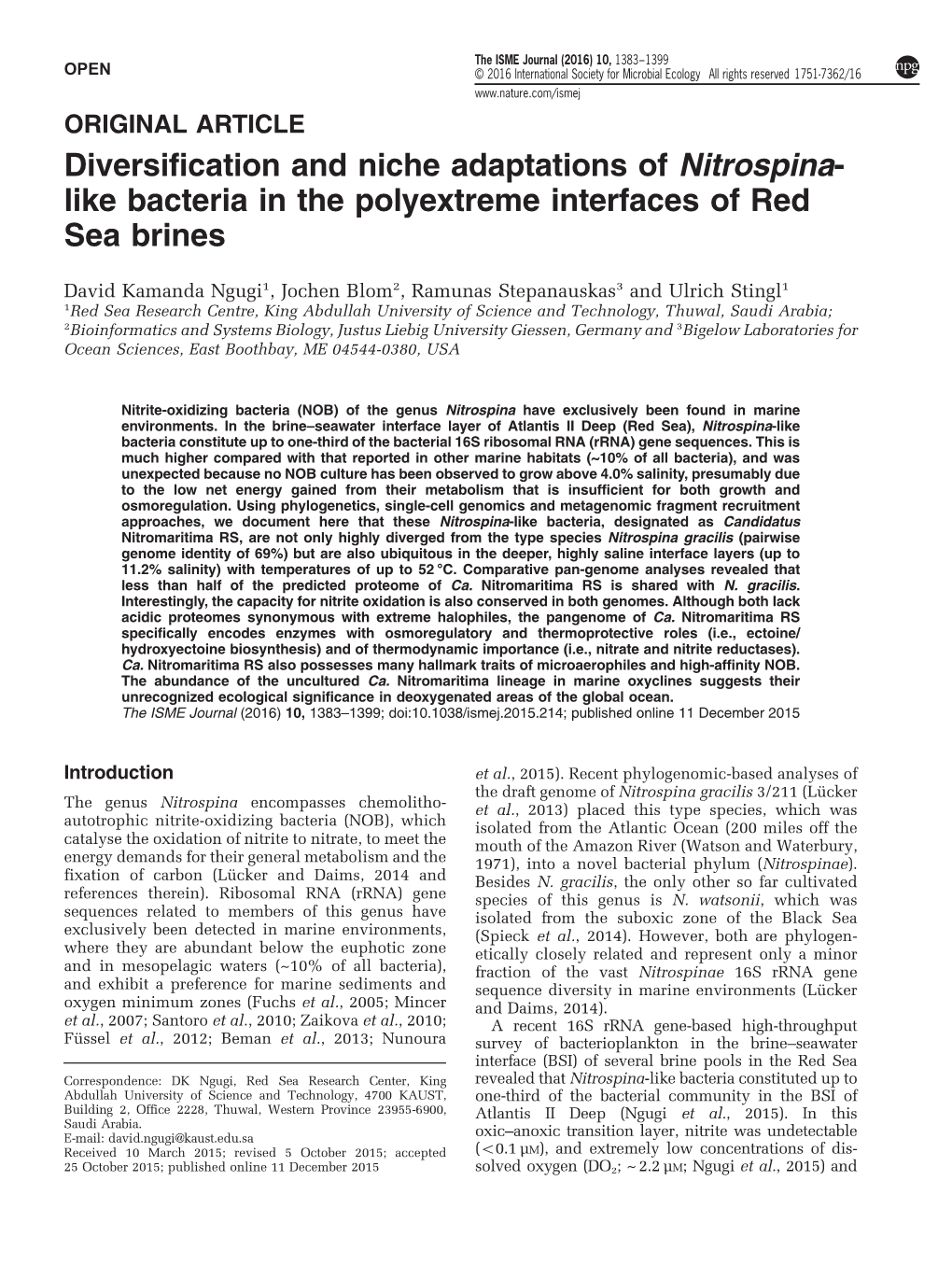 Diversification and Niche Adaptations of Nitrospina-Like Bacteria in The