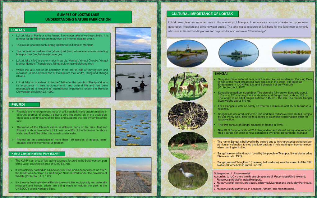 Glimpse of Loktak Lake Understanding Nature Fabrication