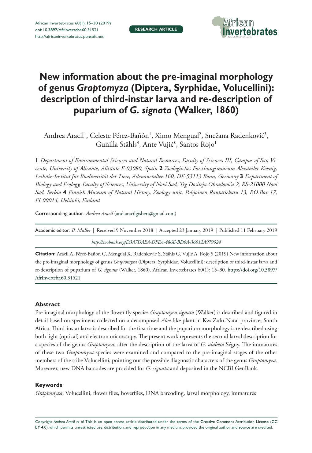 New Information About the Pre-Imaginal Morphology of Genus Graptomyza (Diptera, Syrphidae, Volucellini): Description of Third-In