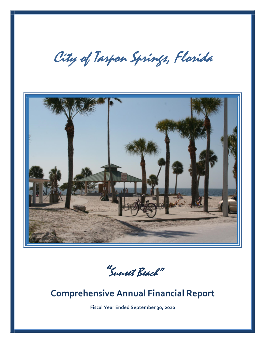 2020 Comprehensive Annual Financial