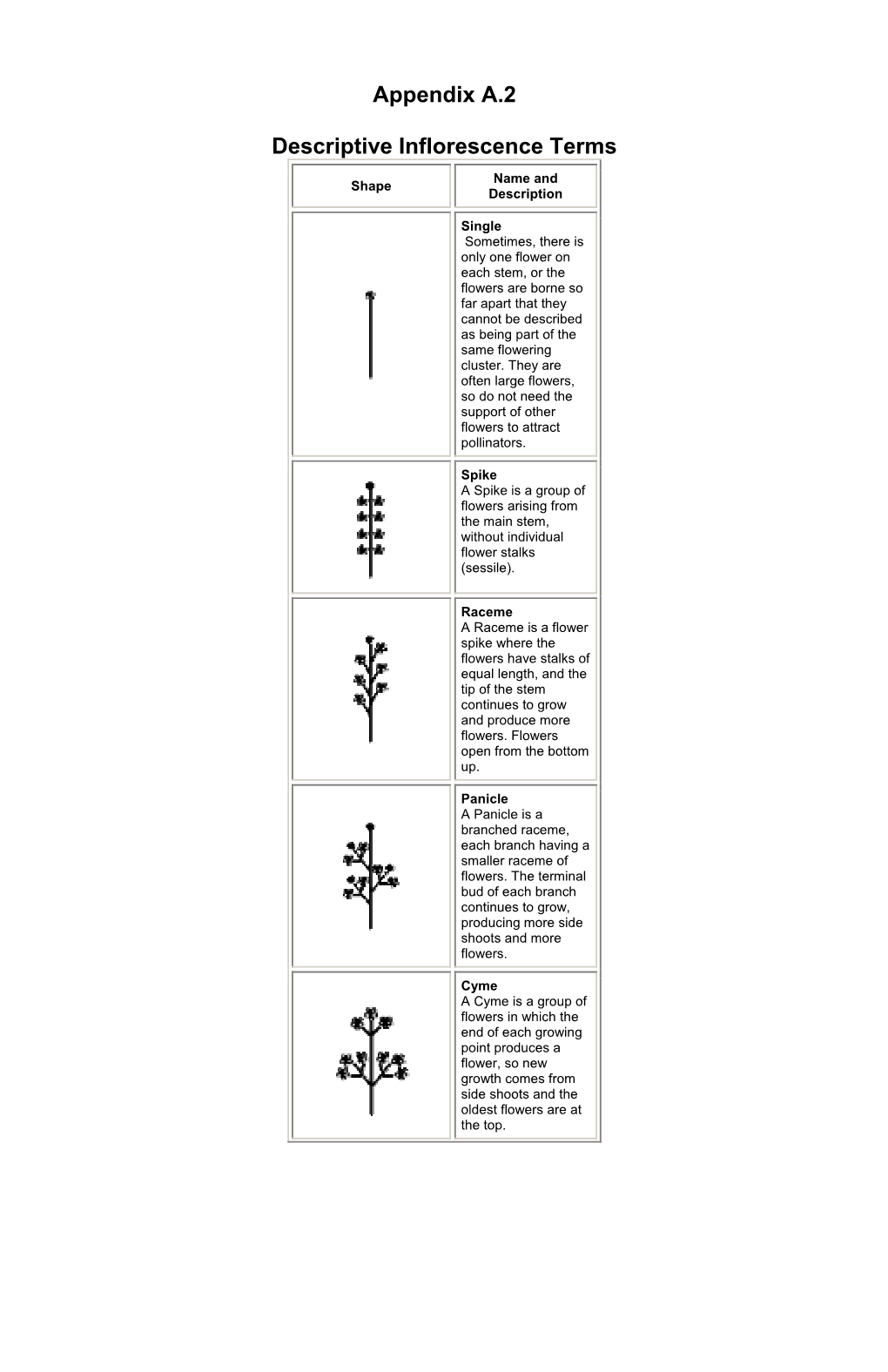 Appendix A.2 Descriptive Inflorescence Terms