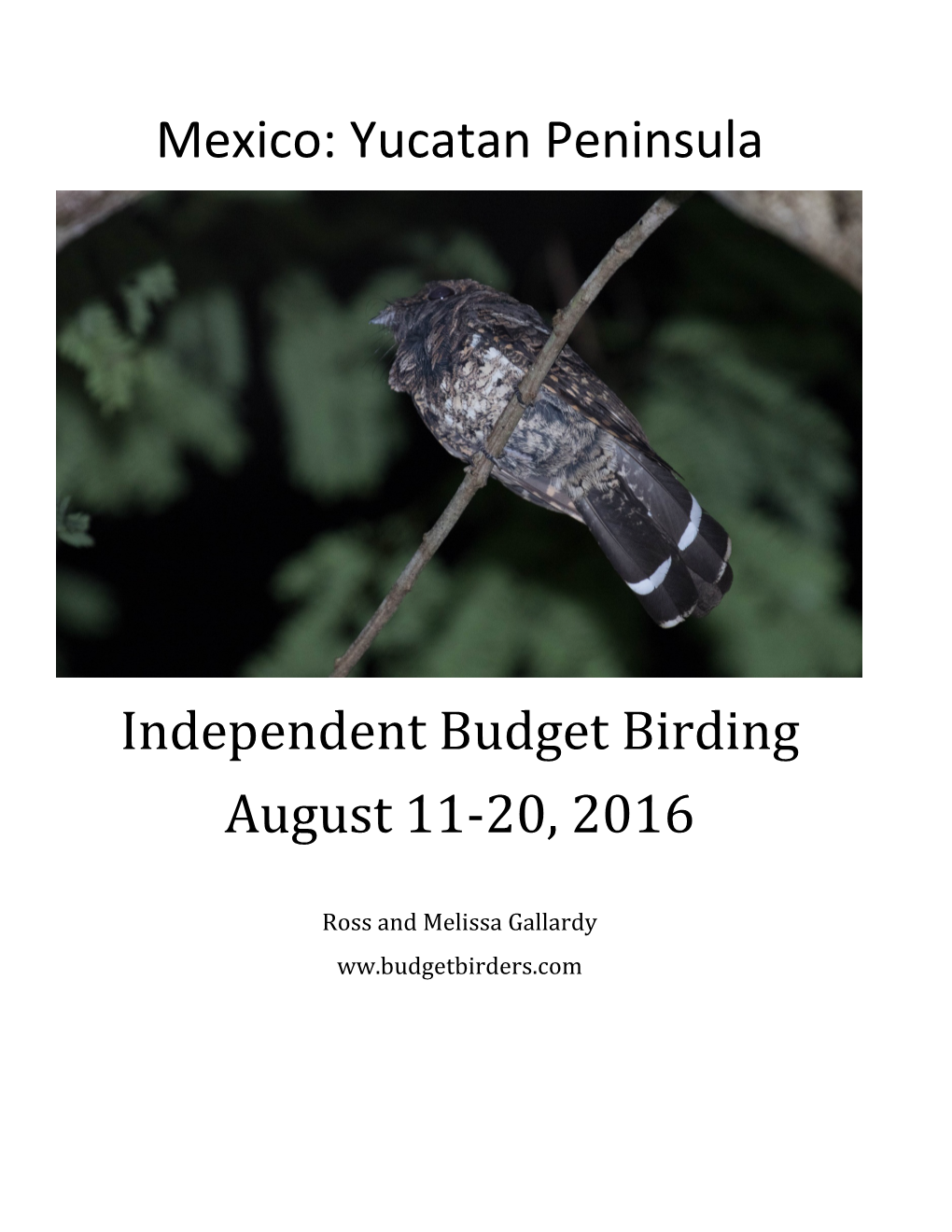 Yucatan Peninsula Independent Budget Birding August 11-20, 2016